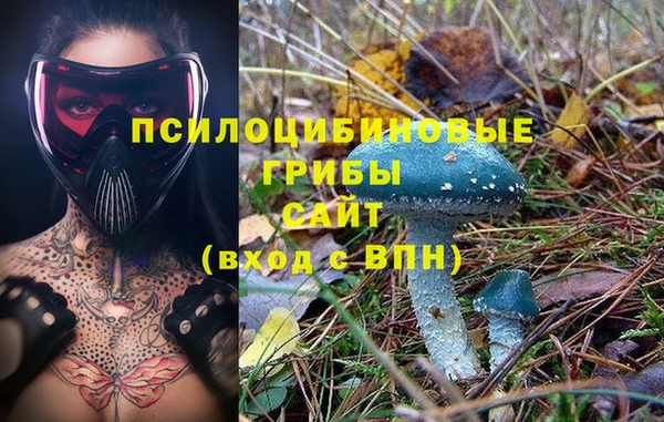 бутират Аркадак