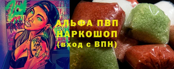СК Алзамай