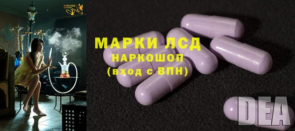 гидра Арсеньев