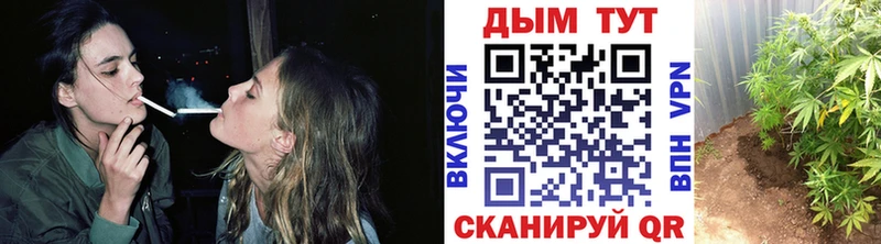 Каннабис план  гидра рабочий сайт  Ликино-Дулёво  закладки 